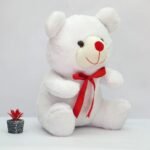 cute white bear teddy