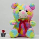colorful teddy