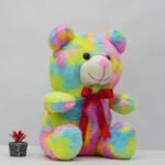 colorful teddy