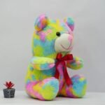 colorful teddy