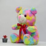 colorful teddy