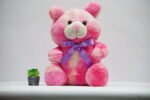 Best Gift for Girlfriend – Pack of 2 Teddy Bears - Image 5