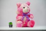 Best Gift for Girlfriend – Pack of 2 Teddy Bears - Image 4