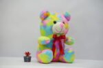 Colorful Teddy bear 40cm - Image 5
