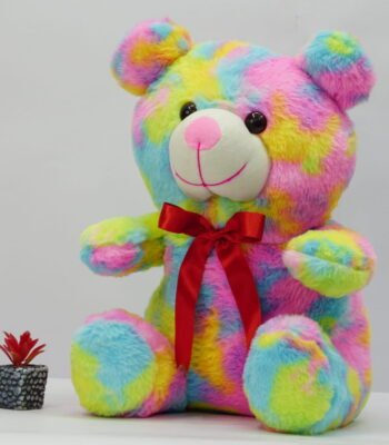 colorful little teddy bear