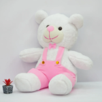 cute pink dungree bear teddy