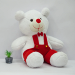 cute red dungree bear teddy