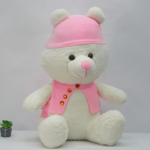 Stylish Cap and Jacket teddy bear