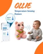 Ollie smart feature